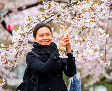 What Are The Best Tourist Attractions To Visit In Japan?