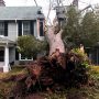 home flood mitigation